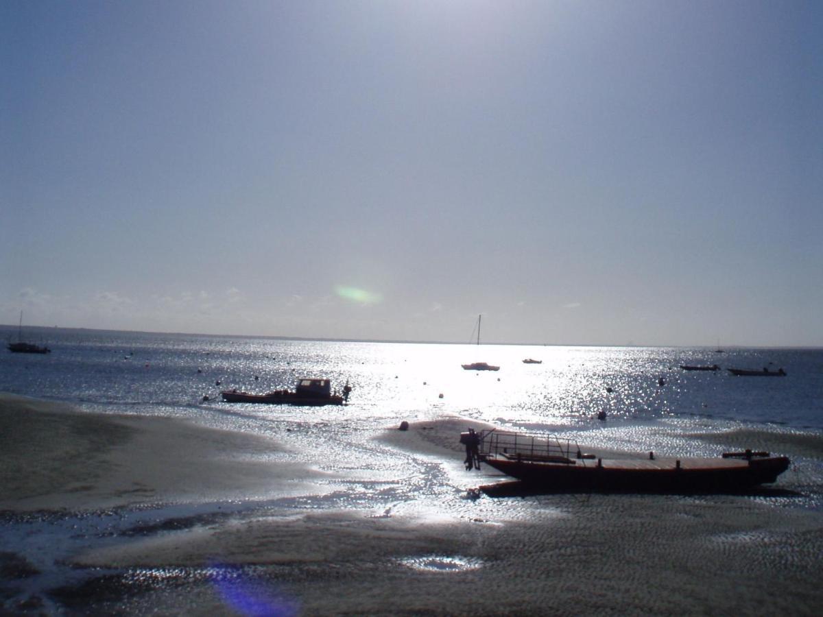 La Cabane Du Truquet Lège-Cap-Ferret Exteriör bild
