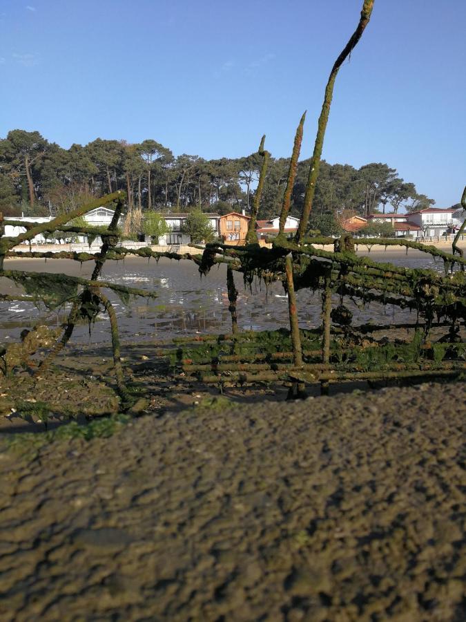 La Cabane Du Truquet Lège-Cap-Ferret Exteriör bild