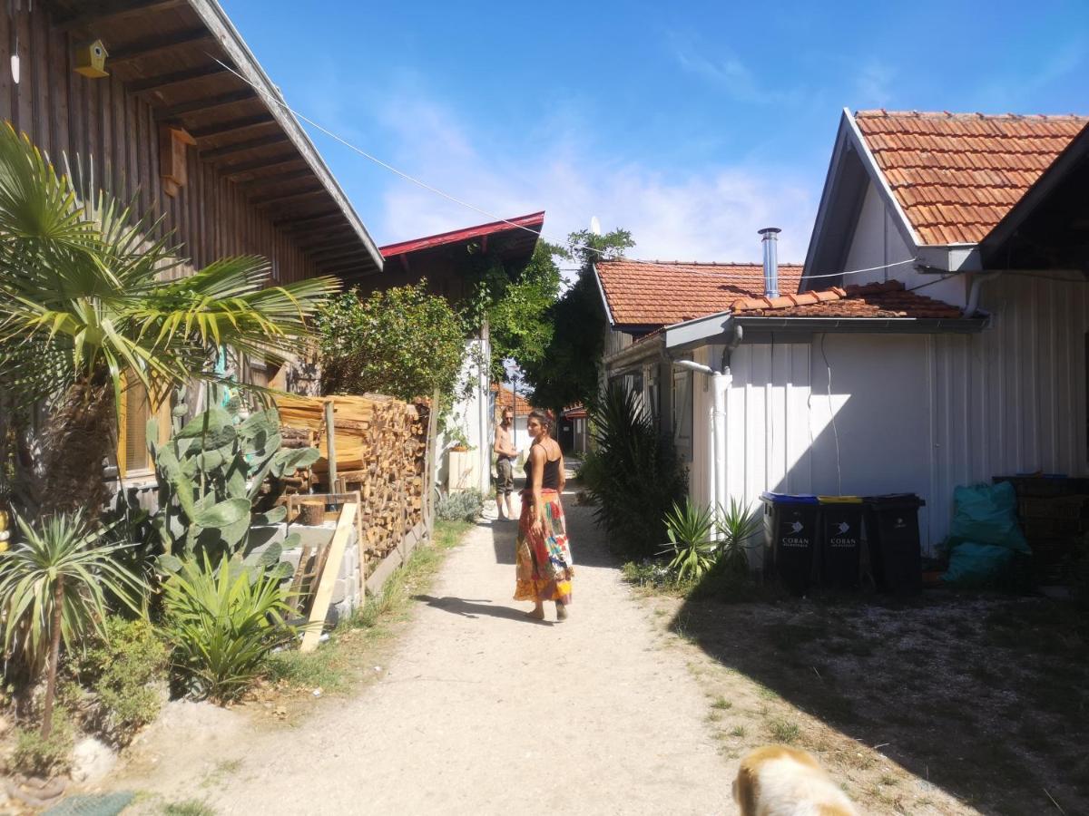 La Cabane Du Truquet Lège-Cap-Ferret Exteriör bild