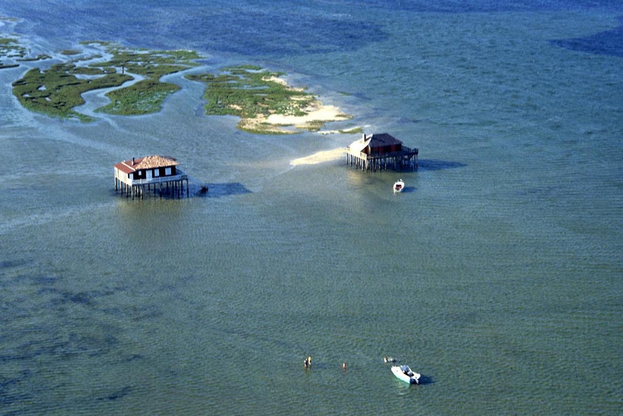 La Cabane Du Truquet Lège-Cap-Ferret Exteriör bild